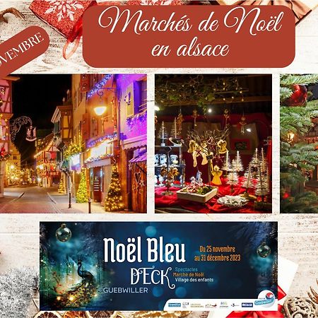 Chez Patisa - Business And Tourism - Rbnb Guebwiller Ngoại thất bức ảnh